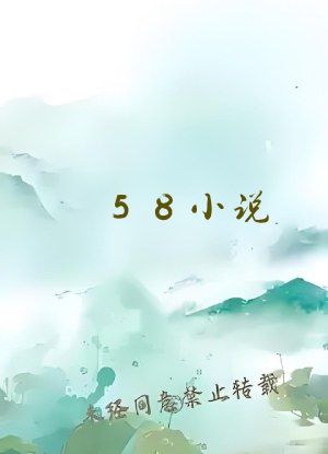 58小说
