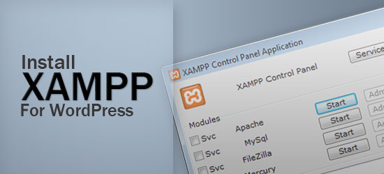使用XAMPP为本地WordPress主题开发领先的图像。
