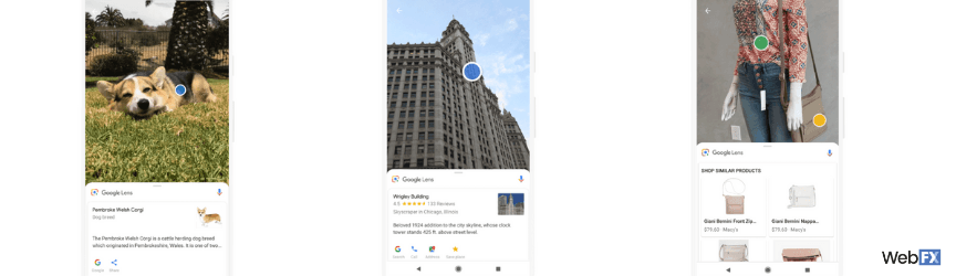 A series of examples for Google Lens