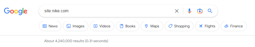 Google site search