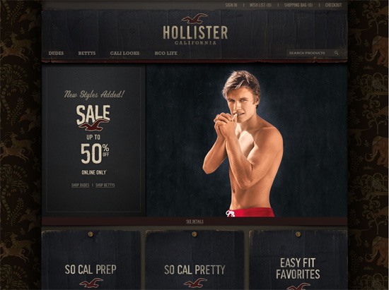 纹理网站设计示例:Hollister Co.。＂width=