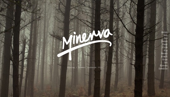 照片背景示例:Minerva
