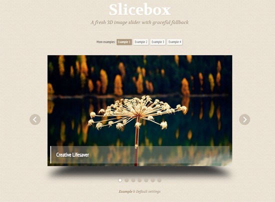 Slicebox