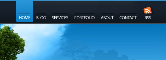 托伦斯网页设计屏幕截图。
