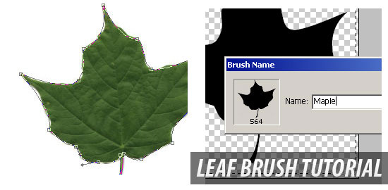 Leaf Brush Tutorial