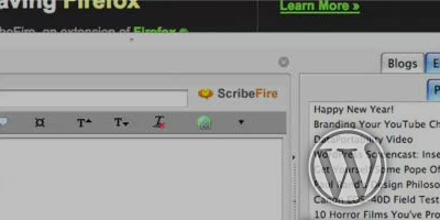 我如何写WordPress博客文章与ScribeFire Firefox插件?——屏幕截图。
