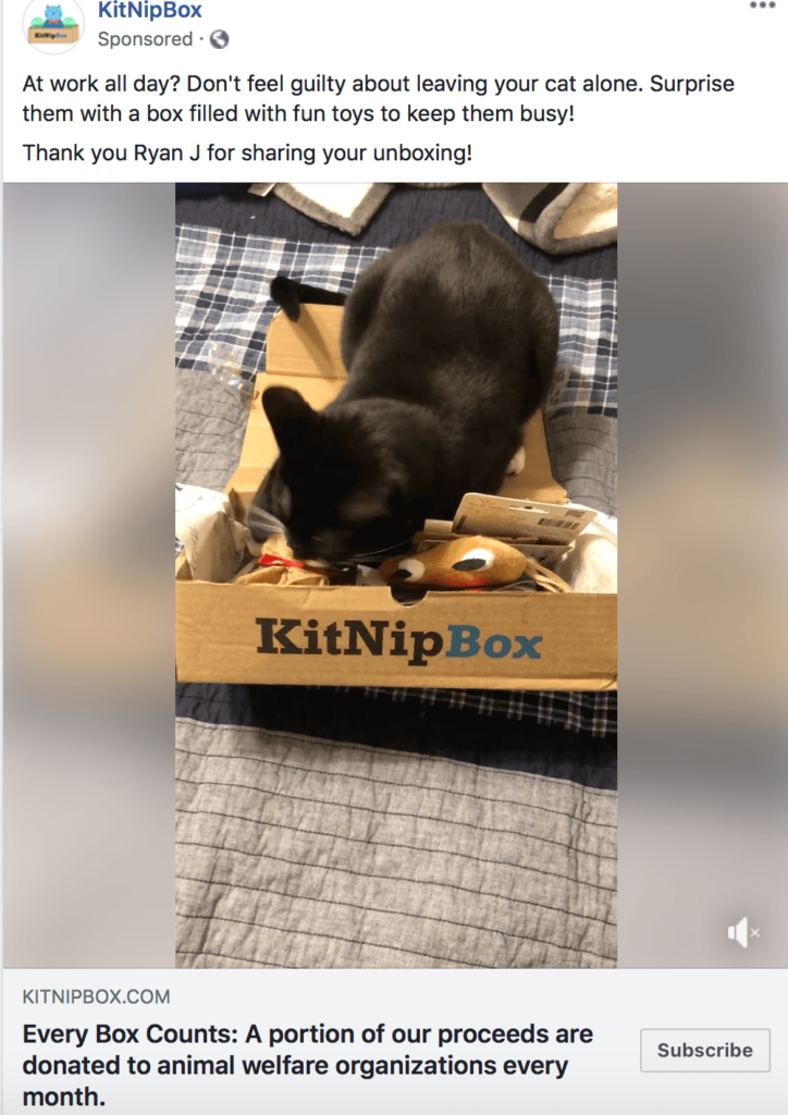 KitNipBox使用用户生成内容的Facebook广告示例