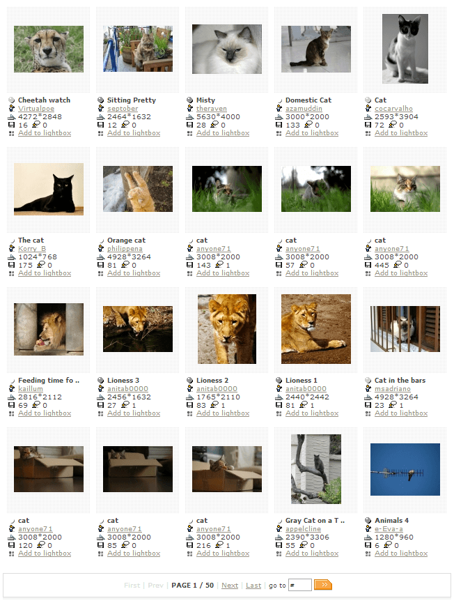 freeimages-cats-50pages