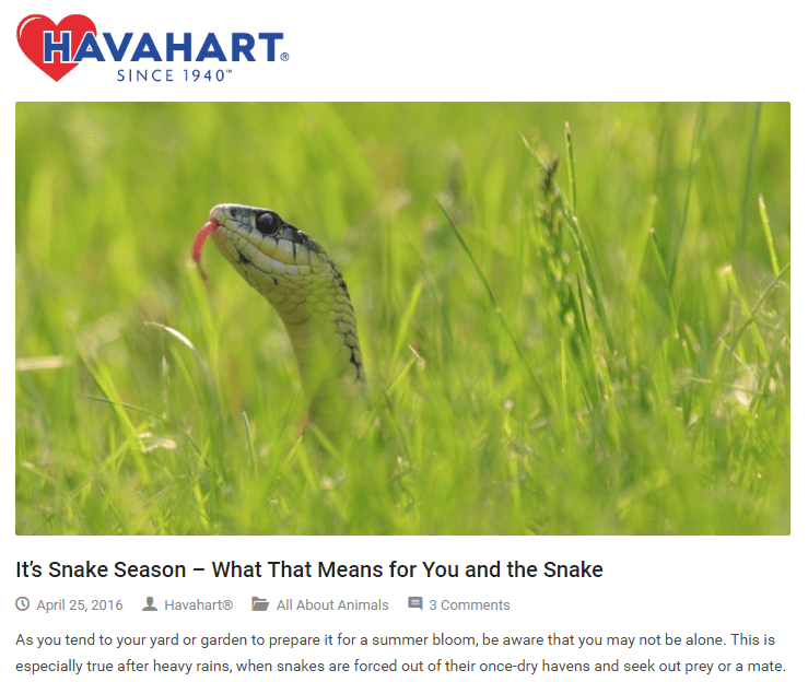 havahart蛇季节
