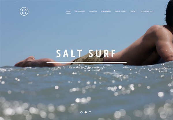 网上商店例子:Salt Surf