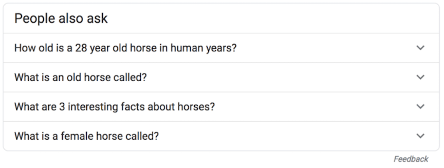 人们也会问一些关于马的问题