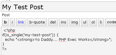 用于测试PHP- exec WordPress插件的PHP代码片段