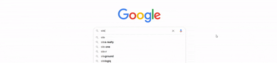 在谷歌上搜索example.com