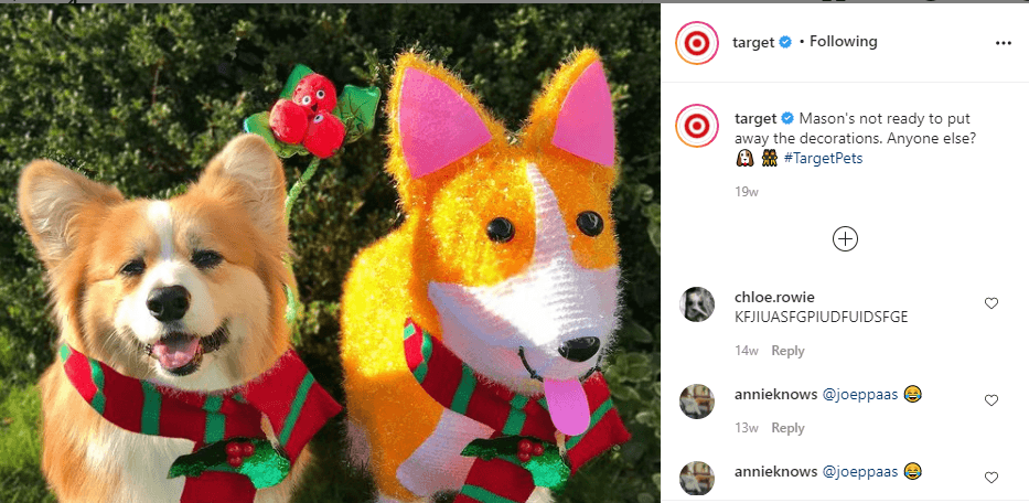 塔吉特百货的狗狗装饰图片
