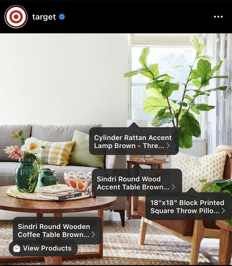 Target在Instagram上发布的购物帖子的链接