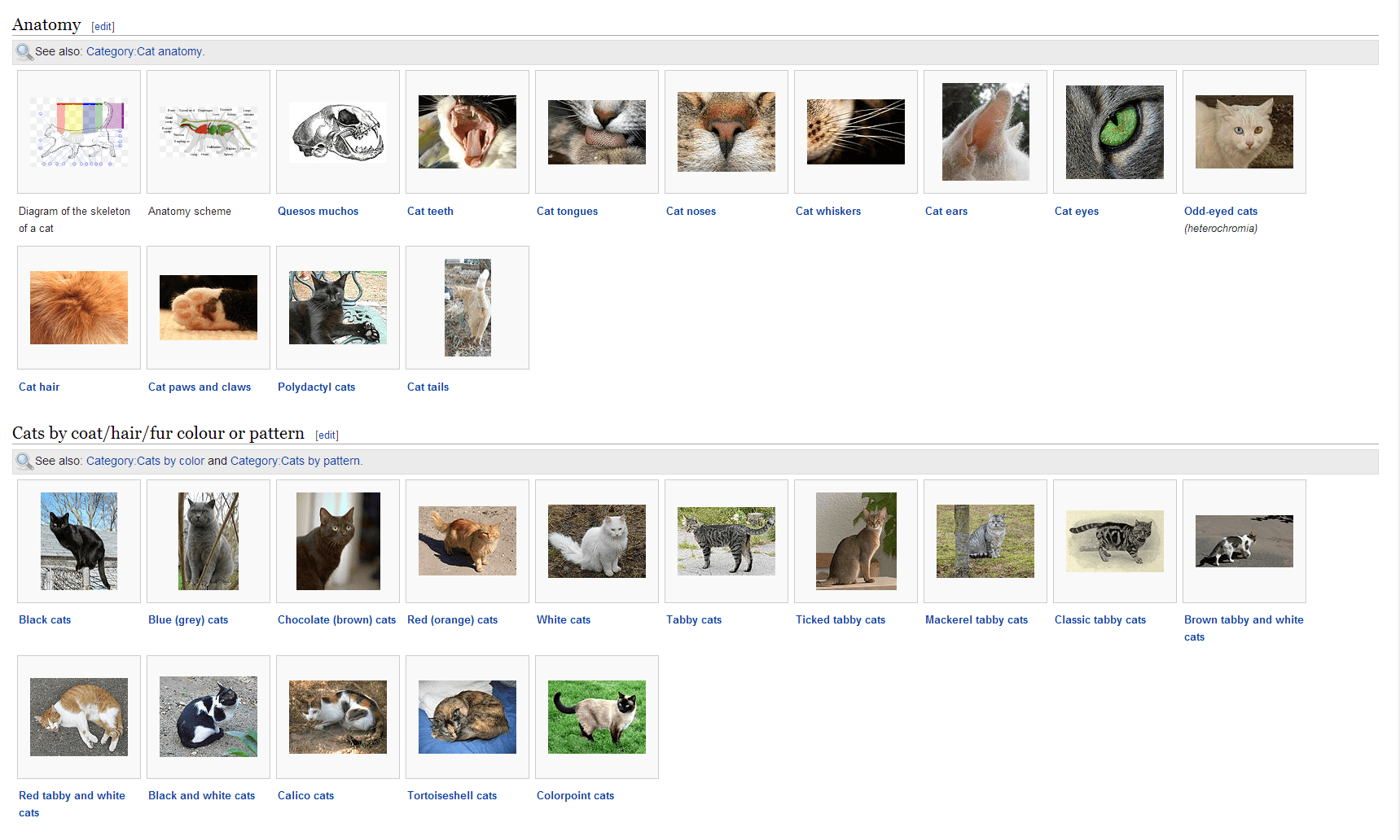 wikimedia-cats