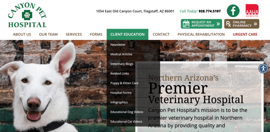 Pet hospital website design example