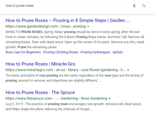 如何修剪玫瑰搜索结果页面