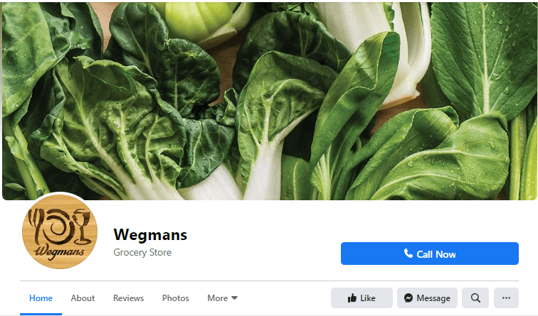 韦格曼的Facebook主页