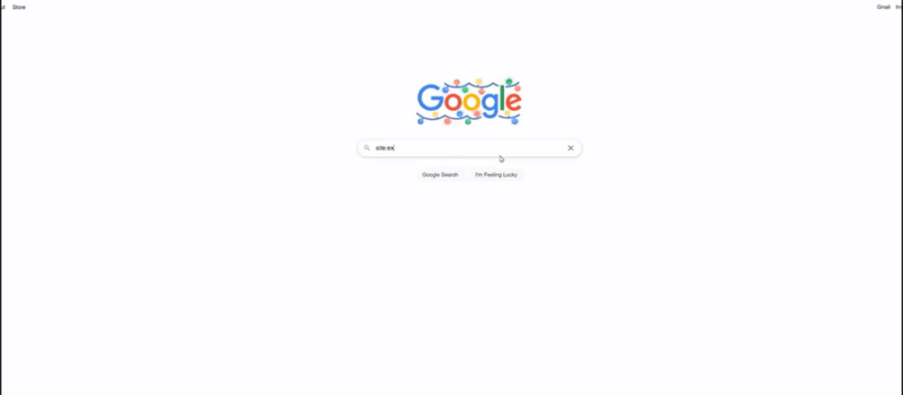 在谷歌上搜索site:example.com，有2个结果
