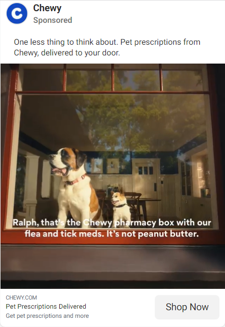 嚼劲广告中的狗狗望向窗外
