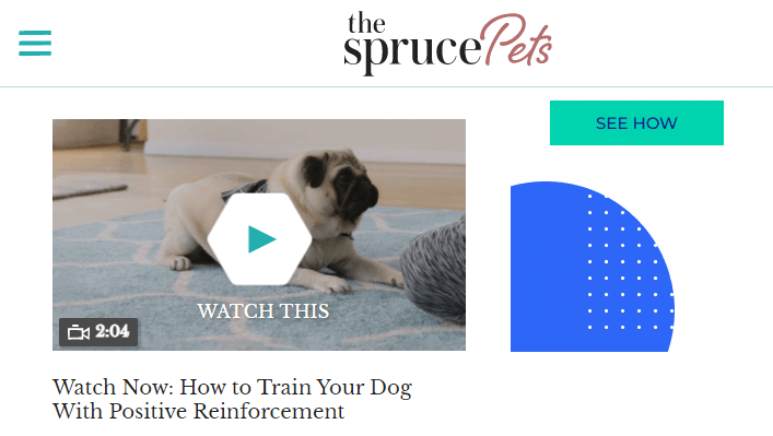 一个关于训练狗狗的博客上的狗狗视频