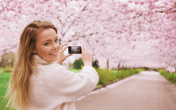 一个女孩正在拍摄樱花树的照片
