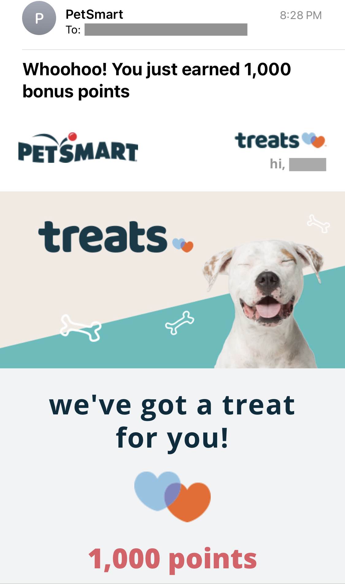 Petsmart电子邮件营销的例子
