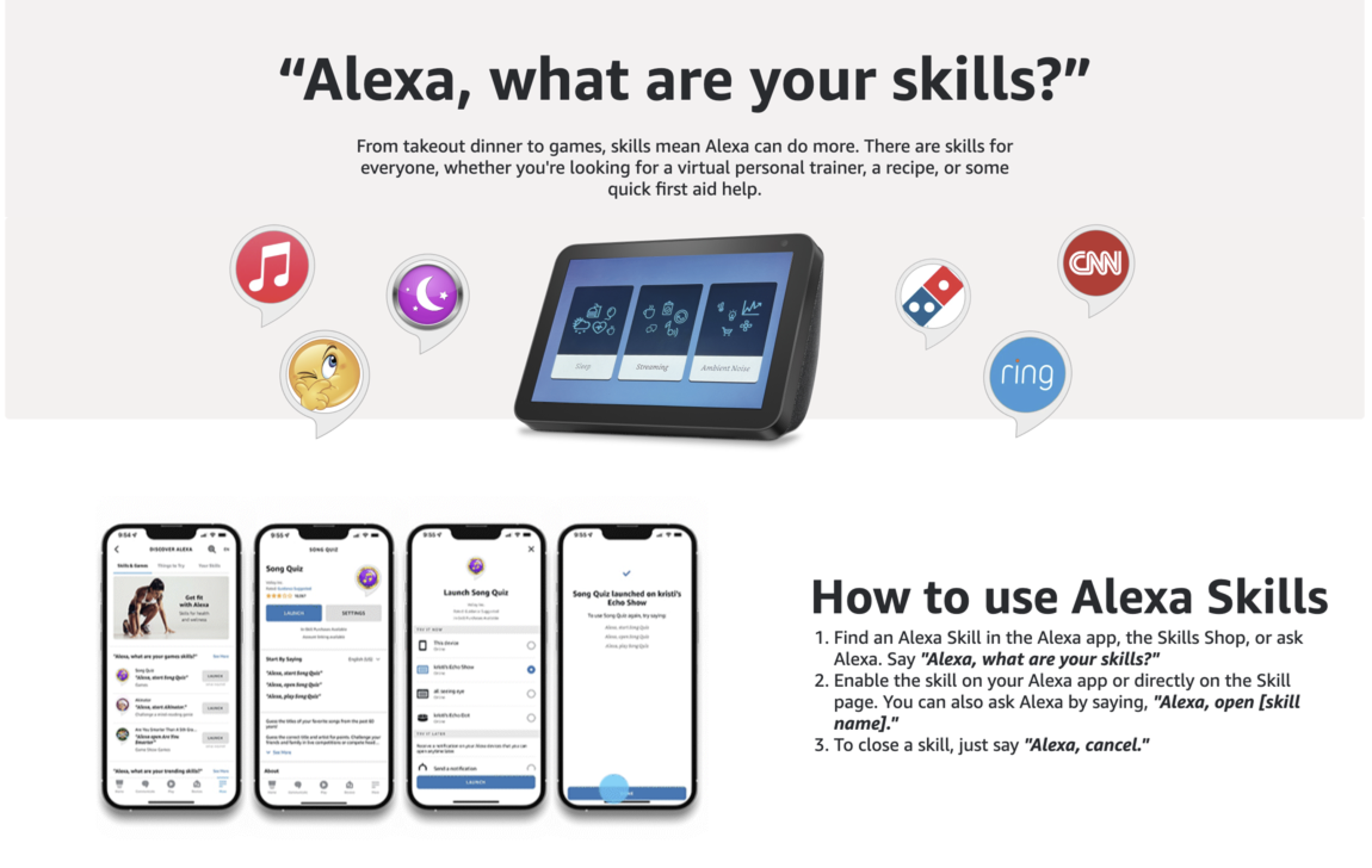 Screenshot of Alexa Skills instructions from Amazon.