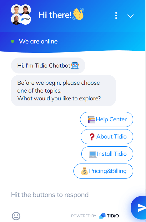 tidio-website chatbot example
