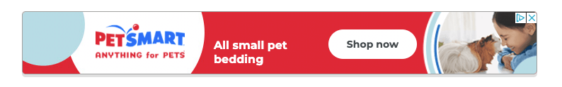 PetSmart的横幅广告推广他们的小宠物床＂width=