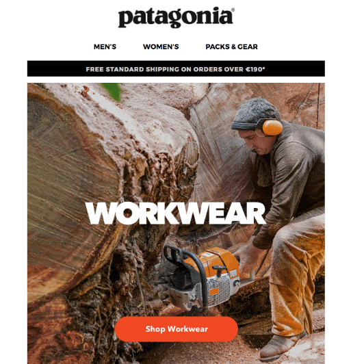 Promotional email from Patagonia for their work clothing
