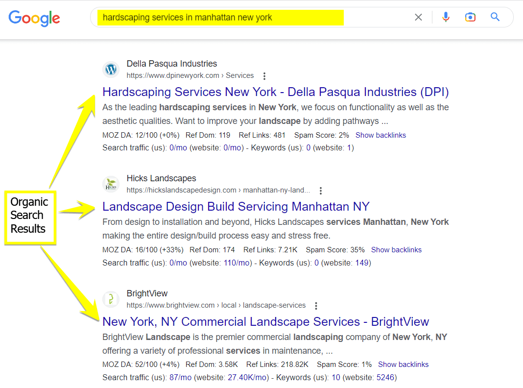 seo organic search results screenshot
