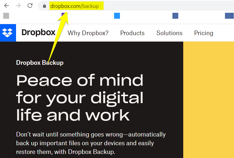 dropbox backup solutions vanity link screenshot